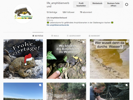 Die Instagram-Seite des Amphibienprojekts
