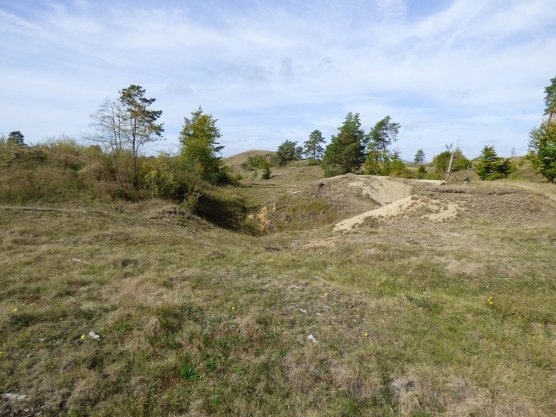Schlangenberg