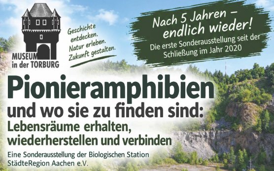 teaser-bild