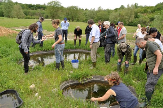 Teilnehmer an der Ausbildung zum Amphibien-Ranger lernen im Gelände die Arten kennen.